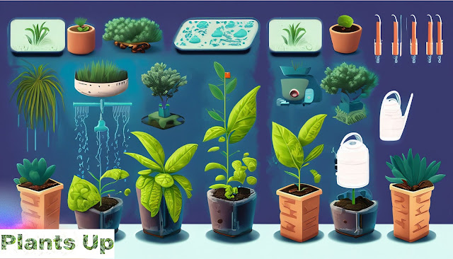 Illustration of Smart Plant Watering Tips for When You're on Vacation