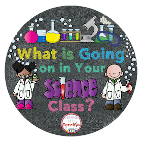 http://teachersareterrific.blogspot.com/2015/02/what-is-going-on-in-your-science-class.html