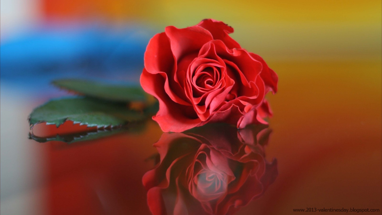 4. New Latest Happy Rose Day 2014 Hd Wallpapers