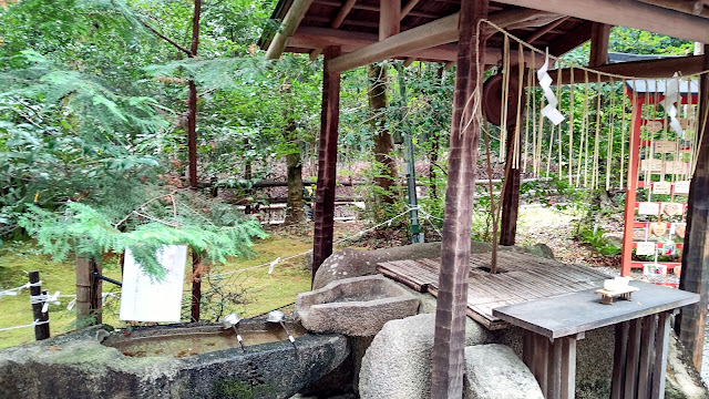 竹林の小径  野宮神社 紅葉 京都 嵐山