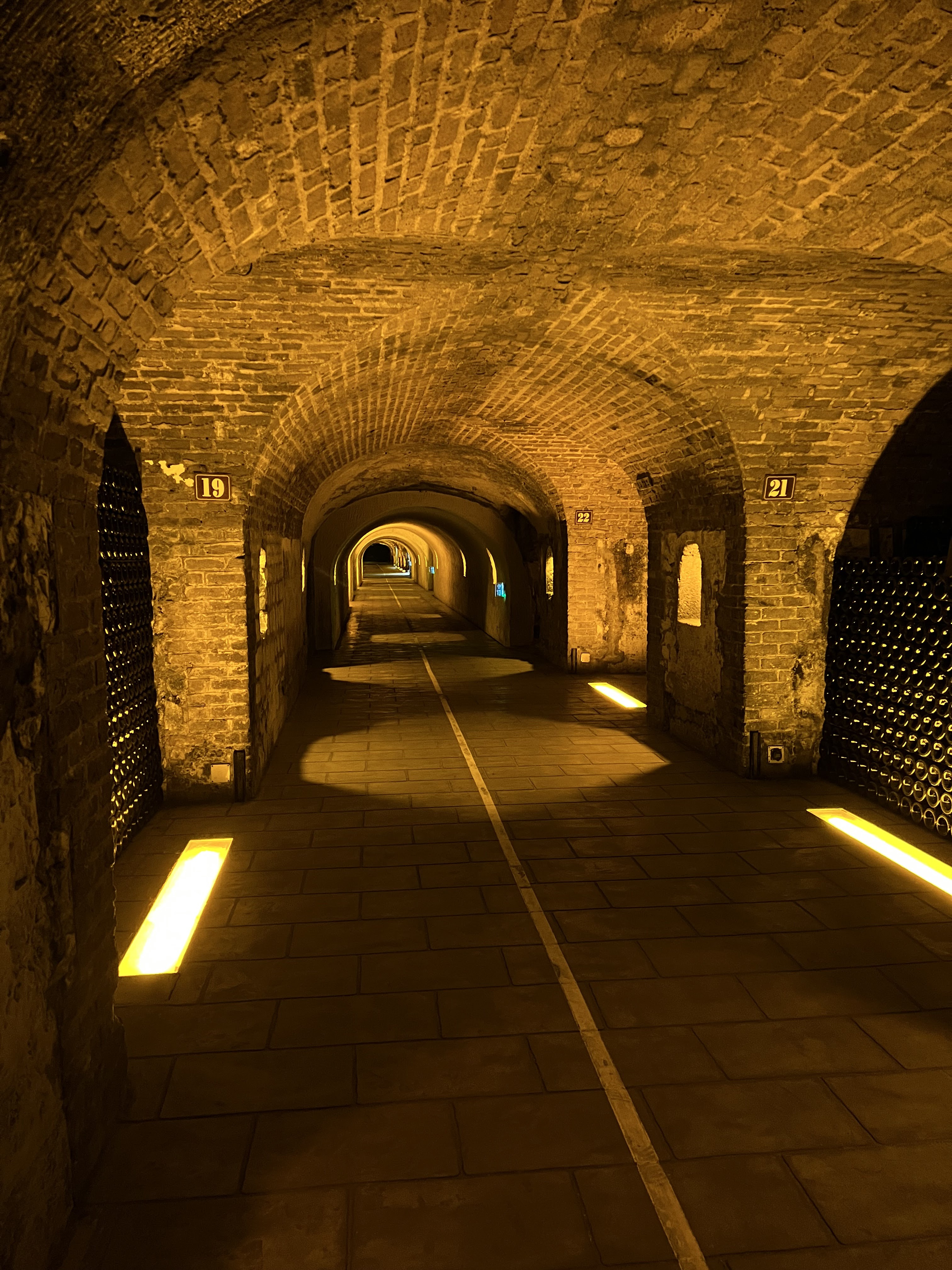 champagne tasting, epernary france, french champagne house, champagne house tour, moet cave tour