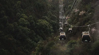 HD Wallpaper Nature, Forest, Cable Car, Cabins, Fog