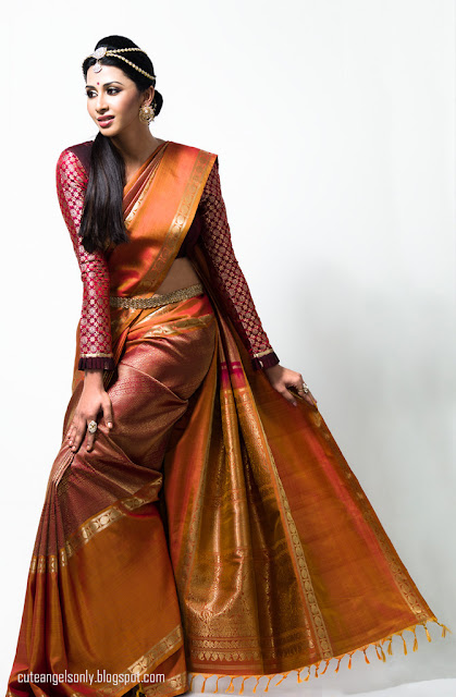 Gayathri_Venkitgeri_Saree_Photoshoot