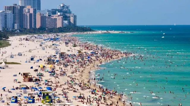 Fakta Keindahan Dan Keunikan Florida Daya Tarik Untuk Pariwisata