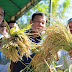 Philippines Now 95% Self-Sufficient In Rice Supply Under President Duterte