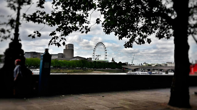 London Eye // 76sunflowers