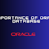 The Importance of Oracle Database in Today's Digital World