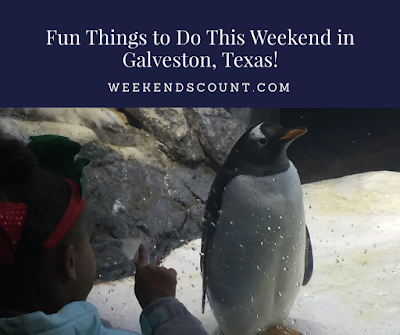 Things to Do in Galveston for Families