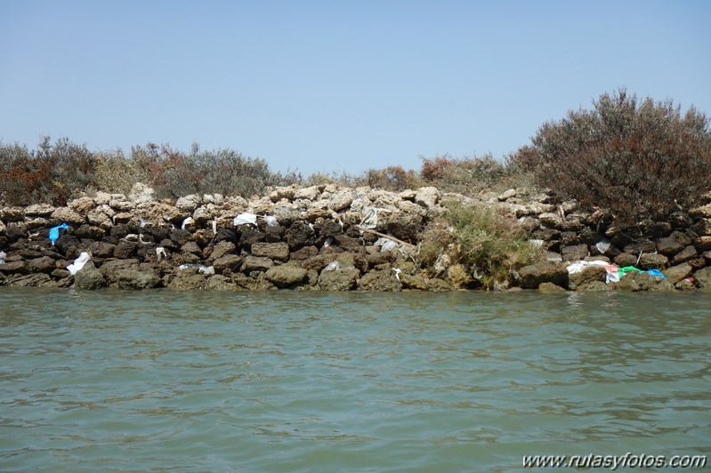 Kayak San Fernando - Salinas de Chiclana