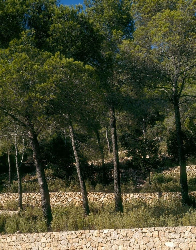 Casa en el valle de Morna - de Blacam and Meagher architects