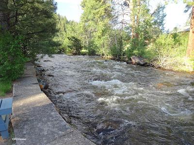 stream, Estes Park, Colorado