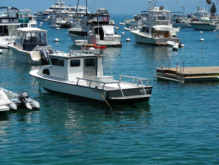 MY Dive Boat
