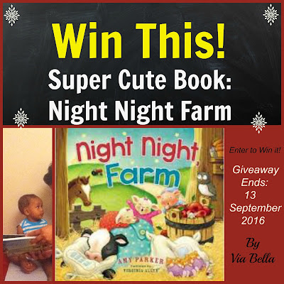 Win this Super Cute Book- Night Night Farm,amy parker, fly by promotions, book review, toddler books, baby books, perfect christmas persent for babies, family, giveaway, enter to win, via bella, kids books, 