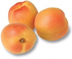 apricots