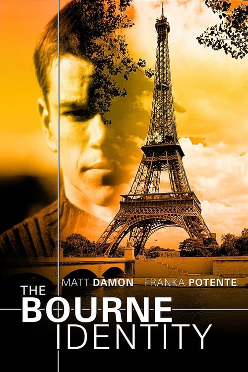 Download The Bourne Identity 2002 Full Movie With English Subtitles