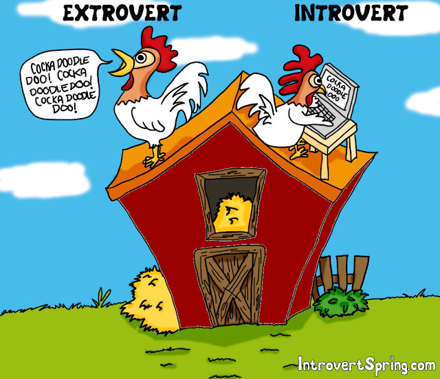 How an extrovert chicken cocka doodle doos vs how an introvert chicken cocka doodle doos.