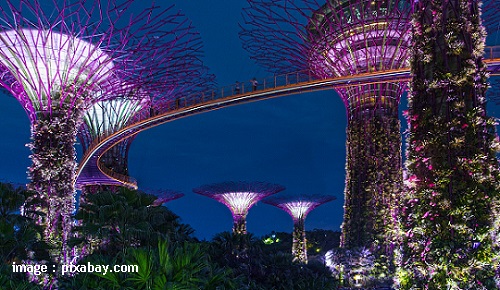 Gardens By The Bay Singapore - Blog Mas Hendra