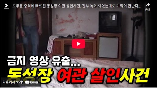영화 마루이 비디오 해석 및 줄거리 리뷰