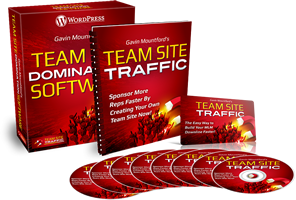 Team Site Traffic Review