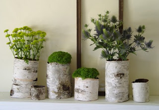 vasos de plantas reciclados