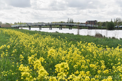 小孩提防Kinderdjik, 荷蘭 Holland, netherlands