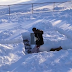 Dog Adorably Cheats In Snow Maze