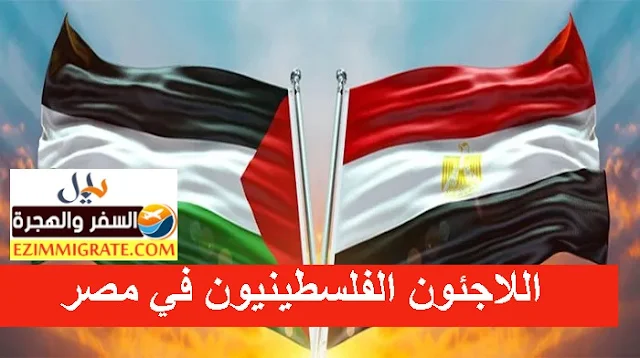 اللاجئون الفلسطينيون في مصر: بين الاندماج والتمييز