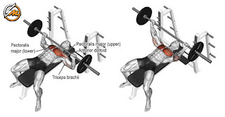 Chest and Back Superset Workout