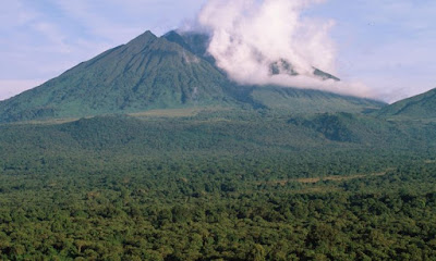 Image Credit: Virunga National Park