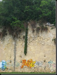 IMG_0894 IMG_0894