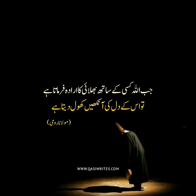 Maulana Rumi Best Quotes in Urdu | Deep Sufi Quotes - Qasiwrites