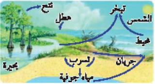 ملخص شامل لدرس 3-1 مخلص درس تدوير المواد - مبادئ علم البيئة.