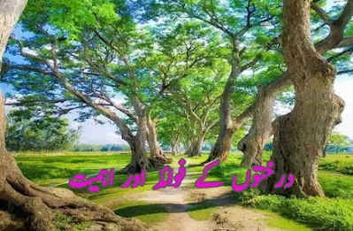 Benefits and importance of trees in Urdu درختوں کی اہمیت اور فوائد