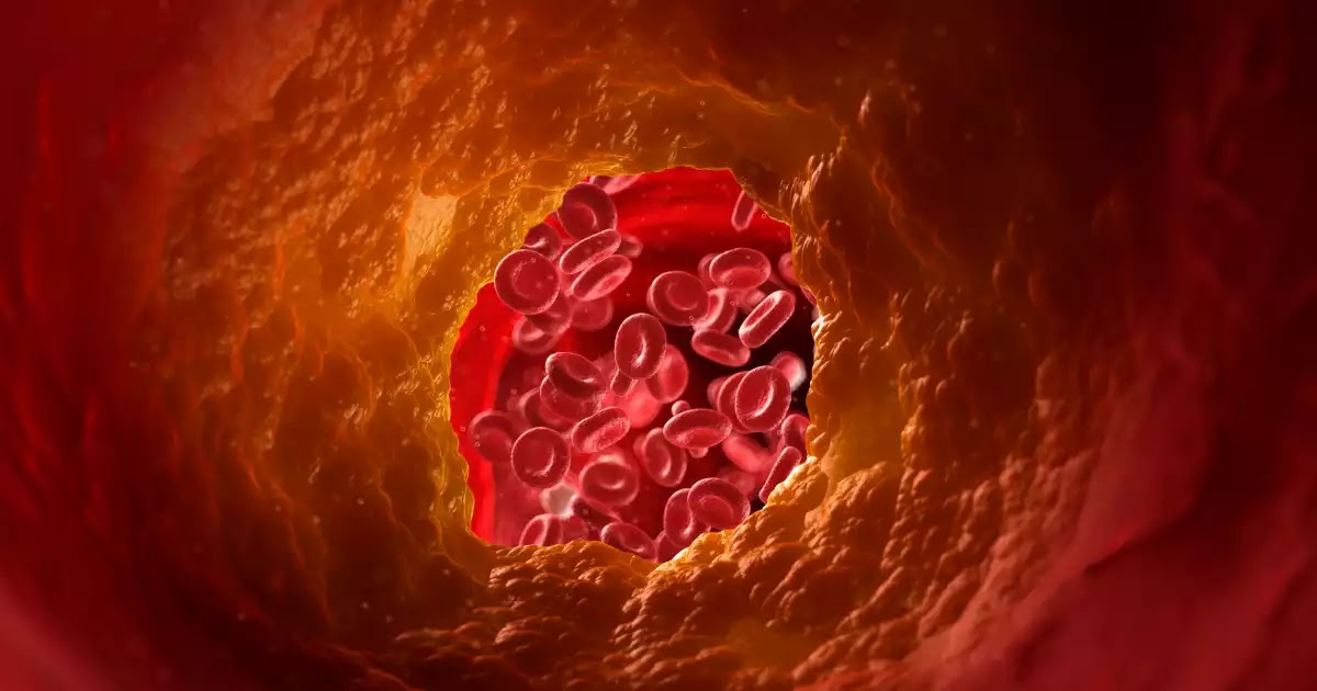 ashwagandha benefits for lower cholesterol