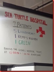 Hospital Info
