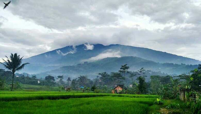 Lokasi tempat hunting keren di bogor