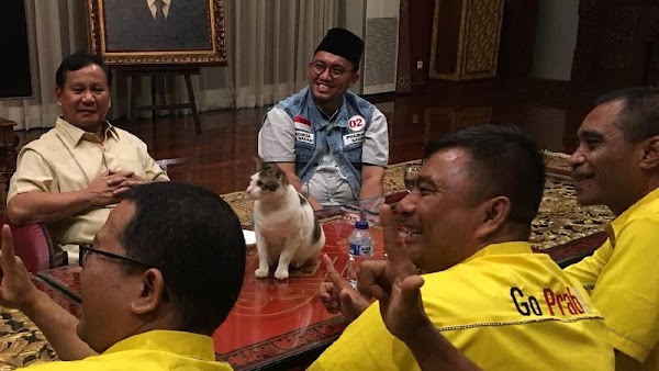 Saat Bobi Si Kucing Temani Prabowo Terima Caleg Golkar