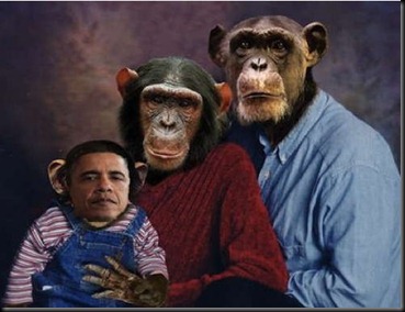 obamamonkey