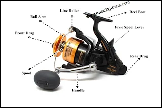 Mengenal Lebih Detail Tentang Spinning Reel