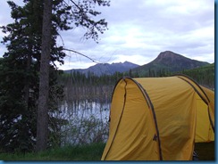 Alaska 5 31 12 001