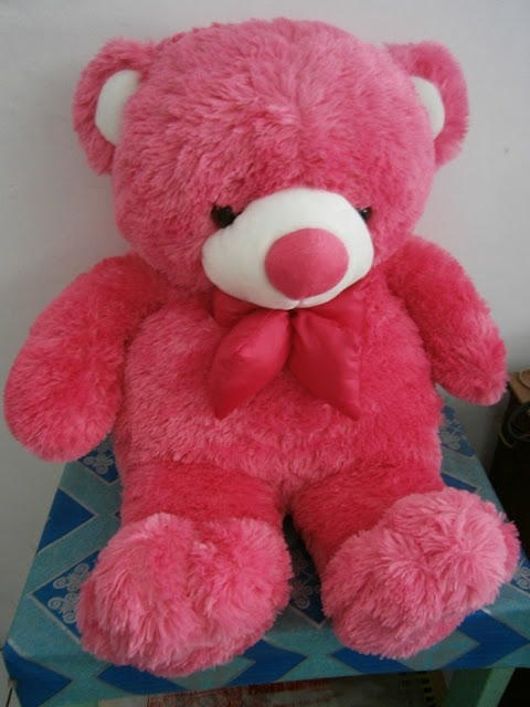 Boneka Beruang Jumbo Dakron Murah