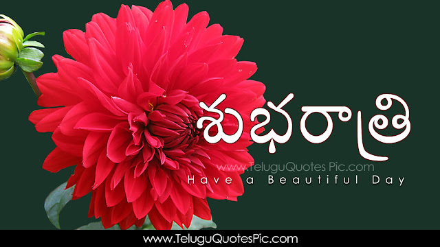 Telugu-Good-Night-Telugu-quotes-Whatsapp-images-Facebook-pictures-wallpapers-photos-greetings-Thought-Sayings-free