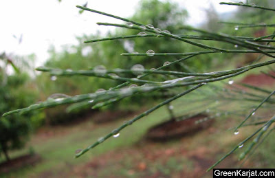 raindrops in karjat