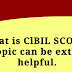 What is ClBIL SCORE? This topic can be extremely helpful. 