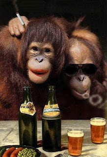 drunken monkeys