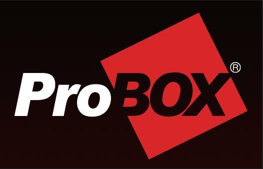 Loader Probox 190 E 200 VIDEO - 20/03/2017