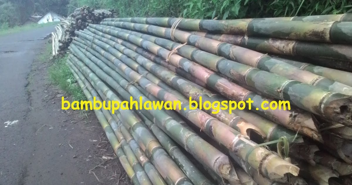 BAMBU PAHLAWAN jual bambu sesek gedek kediri surabaya 