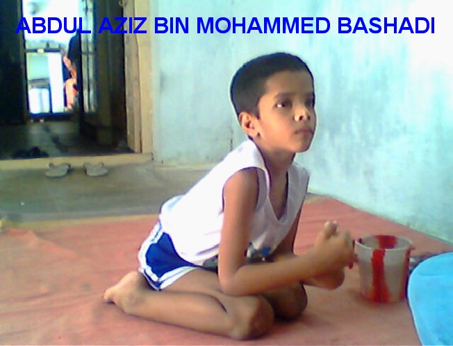 bashadi510