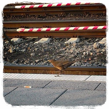 LINEcamera_share_2013-06-09-14-48-55
