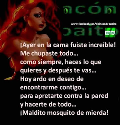 ayer en la cama fuiste increible, me chupaste todo, como siempre, haces lo que quieres, y después te vas, hoy ardo en deseo de encontrarme contigo, para apretarte contra la pared, y hacerte de todo, maldito mosquito de mierda